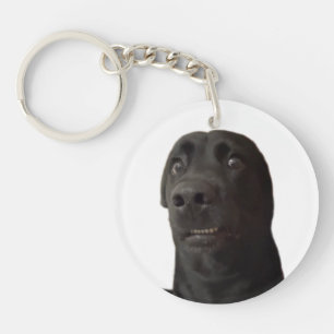 Llavero Meme de Perro Asustado por Keychain