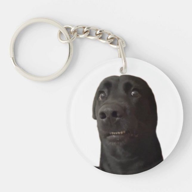 Llavero Meme de Perro Asustado por Keychain (Frente)