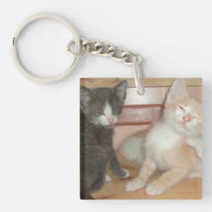 Llavero Meow Cats 10 Keychain acrílico cuadrado