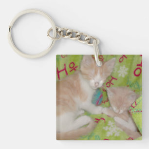 Llavero Meow Cats 12 Cadena De Tecla Acrílica De Doble Lad