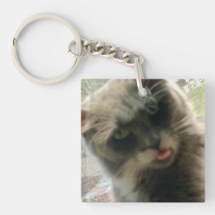 Llavero Meow Cats 2 Keychain acrílico cuadrado