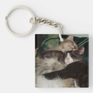 Llavero Meow Cats 3 Keychain acrílico cuadrado