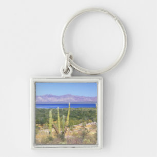 Llavero México, Baja California Sur, Cardon Cactus en