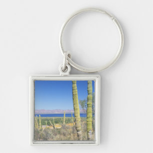 Llavero México, Baja California Sur, Mulege, Bahía