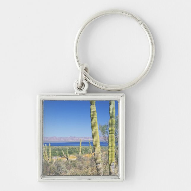 Llavero México, Baja California Sur, Mulege, Bahía (Frente)