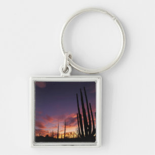 Llavero México, Baja del Norte, Catavina Desierto Nacional