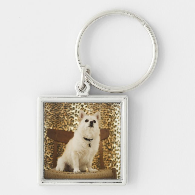 Llavero Mezcla de Pomeranian (Frente)