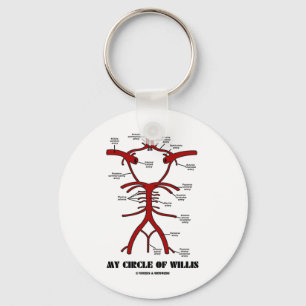 Llavero Mi Círculo De Willis (Humor Anatómico De Arterias)