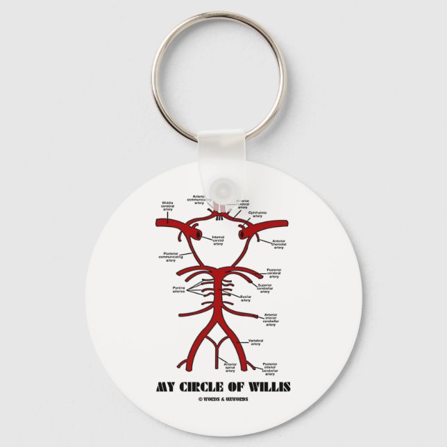 Llavero Mi Círculo De Willis (Humor Anatómico De Arterias) (Anverso)