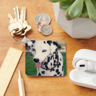 Llavero Mi Mascota amigo sube tu propio Personalizado de f