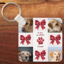 Mi Perro Es Mi San Valentín Bow 4 Fotos