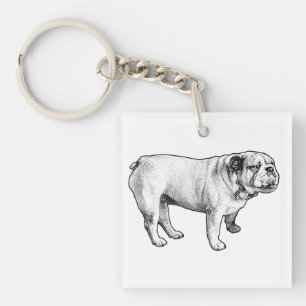Llavero microdot equilibrio, bulldog