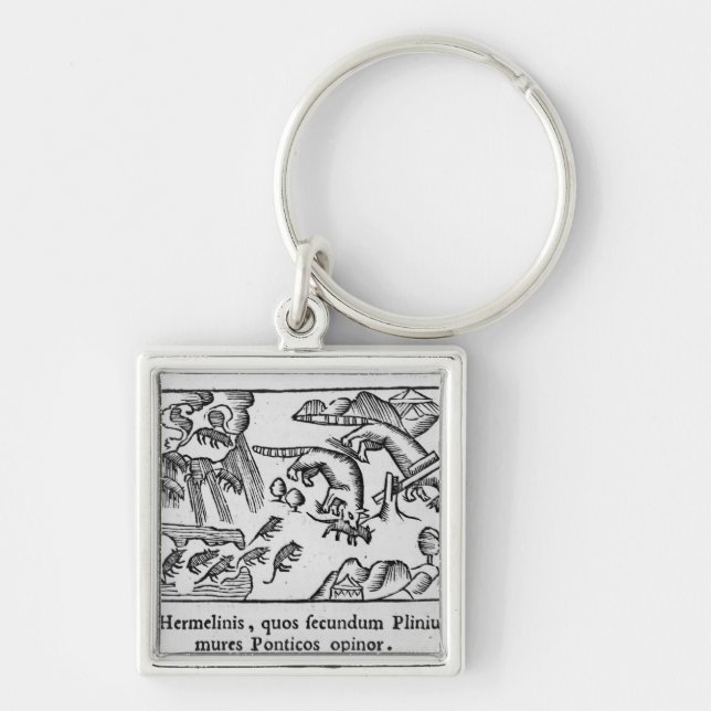 Llavero Migración de lemings (Frente)