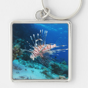 Llavero Millas de Lionfish o Pterois, peces de arrecifes o