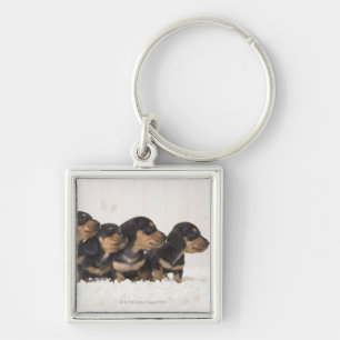 Llavero Mini Dachshund cuatro