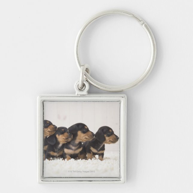 Llavero Mini Dachshund cuatro (Frente)