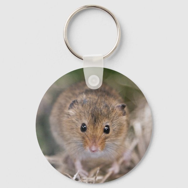 Llavero Minnie Keyring (Anverso)