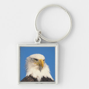Llavero Mirada de águila calva