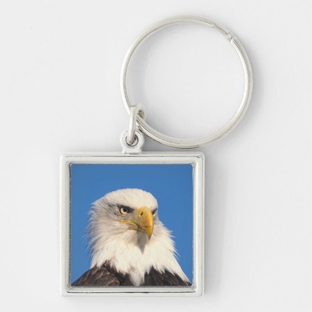 Llavero Mirada de águila calva (Frente)