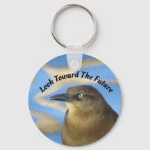 Mirar hacia la futura graduación del Blackbird Col