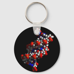 Llavero Modelo Helix Doble de ADN