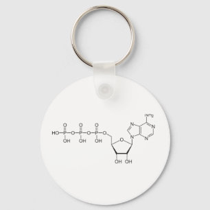 LLAVERO MOLÉCULA ATP