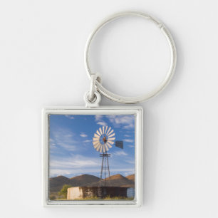 Llavero Molino de viento y presa en el Karoo al amanecer