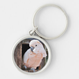Llavero Moluccan Cockatoo
