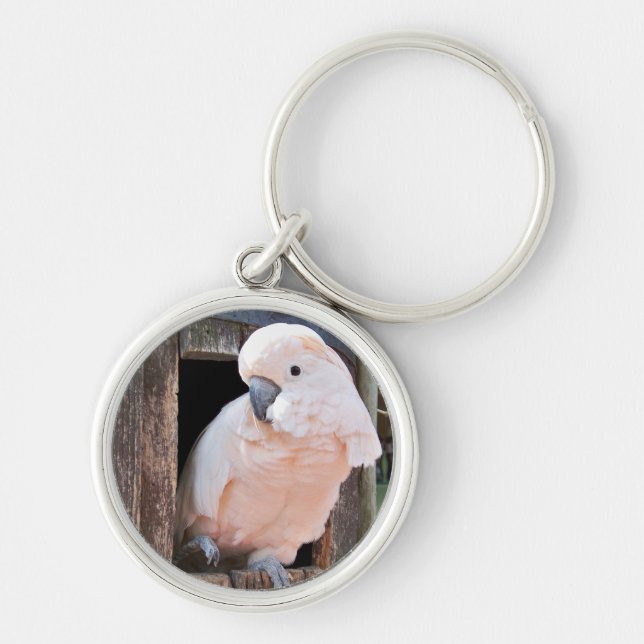 Llavero Moluccan Cockatoo (Frente)