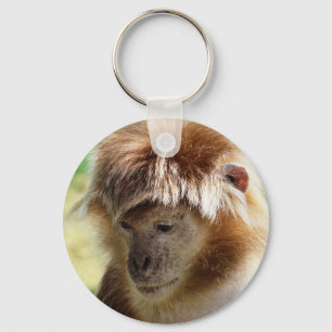 LLAVERO MONKEYS