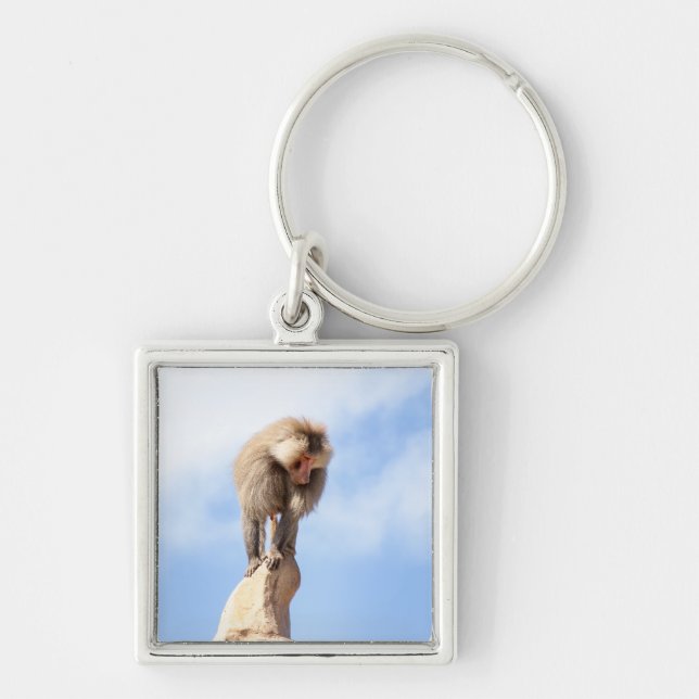 Llavero Mono babuino en la cima de una montaña (Frente)