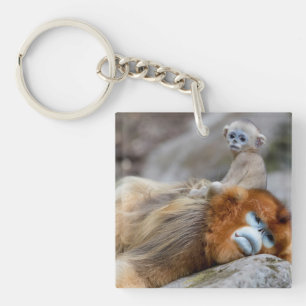 Llavero Mono dorado de nariz desnuda con bebé