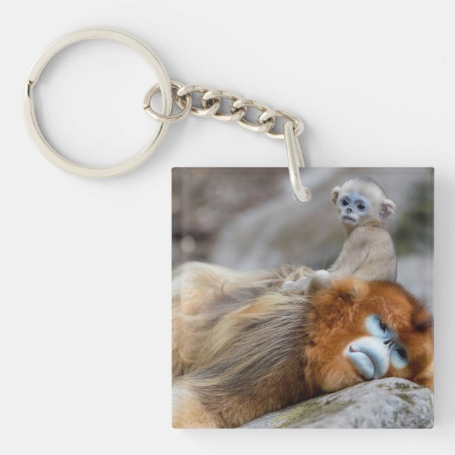 Llavero Mono dorado de nariz desnuda con bebé (Frente)