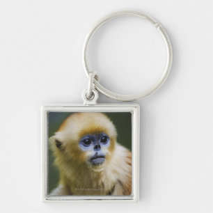 Llavero Montañas de Qinling, octubre de 2006