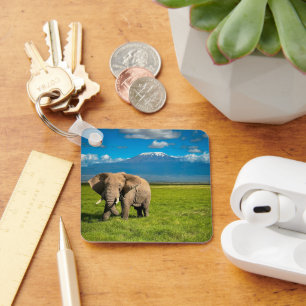 Llavero Montañas Monte Kilimanjaro Tanzania, África