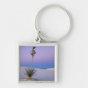 LLAVERO MONUMENTO NACIONAL WHITE SANDS, NUEVO MÉXICO.