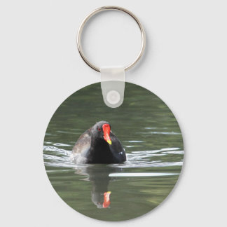 Llavero Moorhen y la reflexión