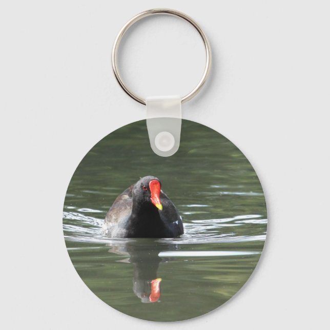 Llavero Moorhen y la reflexión (Anverso)