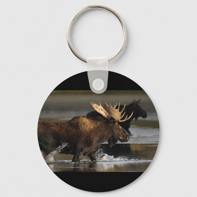 Llavero Moose (Anverso)