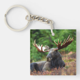 Llavero Moose