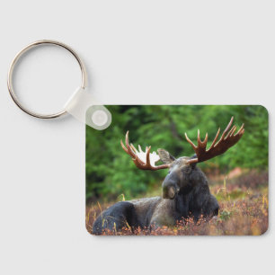 Llavero Moose
