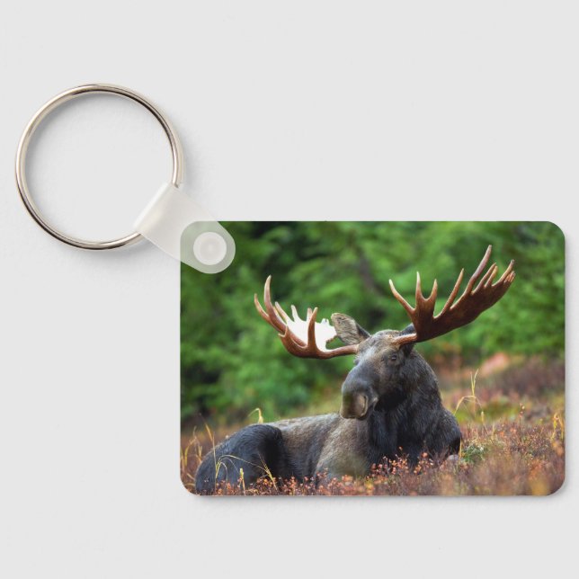 Llavero Moose (Reverso )