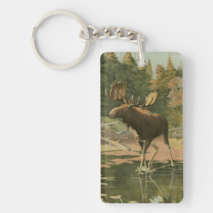 Llavero Moose caminando en el agua