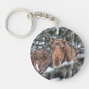 Llavero Moose canadiense salvaje en bosque invernal
