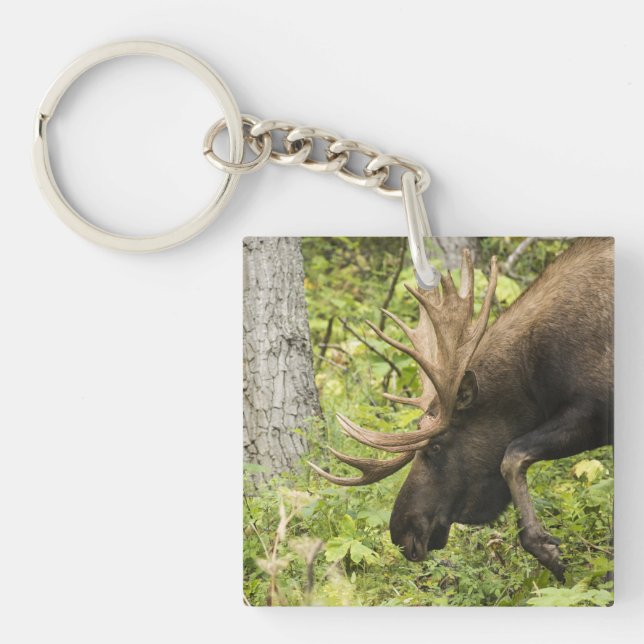 Llavero Moose de significación (Frente)