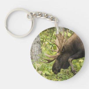 Llavero Moose de significación