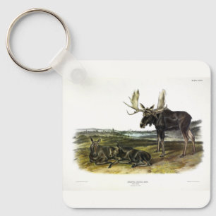 Llavero Moose Deer (Moose - Alces alces) de Audubon