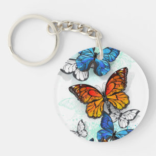 Llavero Morfo y monarca de las mariposas voladoras