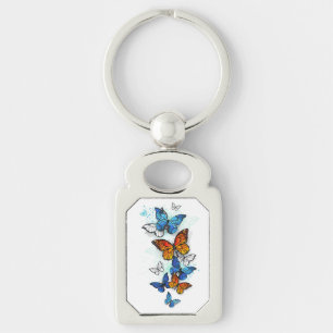 Llavero Morfo y monarca de las mariposas voladoras