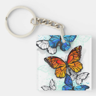 Llavero Morfo y monarca de las mariposas voladoras